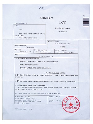 專利合作條約（副本）